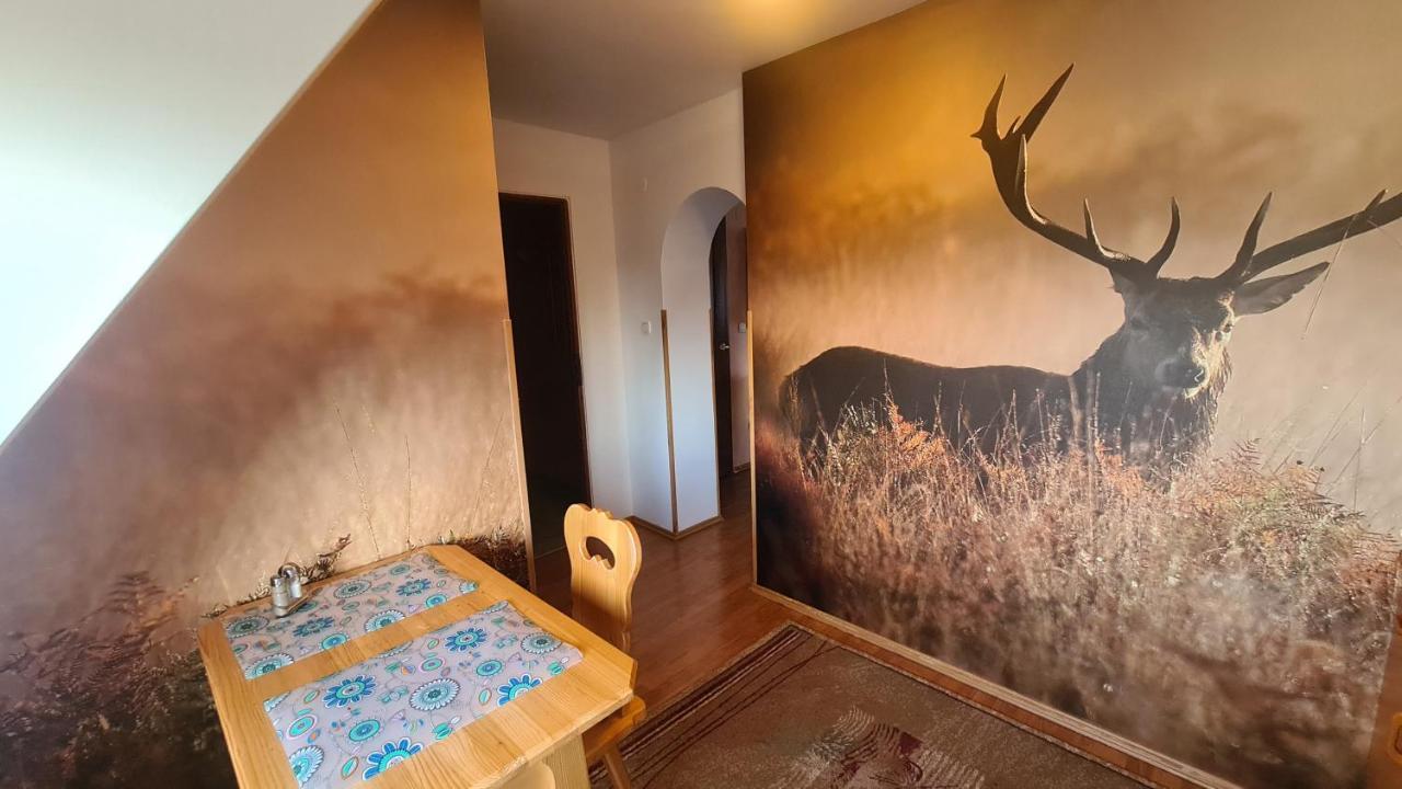 Apartmán Wynajem Pokoi Magdalena Zakopane Exteriér fotografie